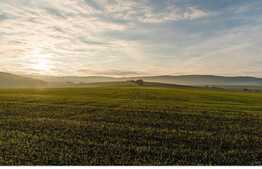 Teren agricol, 9811 mp, Giarmata!