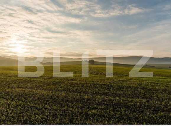 Teren de vânzare Giarmata - 66686TV | BLITZ Timișoara | Poza1