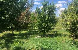 Casa individuala, 80 mp utili, teren 739 mp, in Mosnita Veche