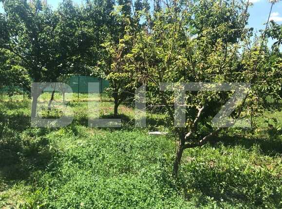 Casa de vânzare 2 camere Mosnita Veche - 66796CV | BLITZ Timișoara | Poza17