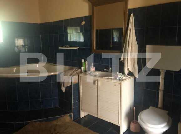 Casa de vânzare 2 camere Mosnita Veche - 66796CV | BLITZ Timișoara | Poza12