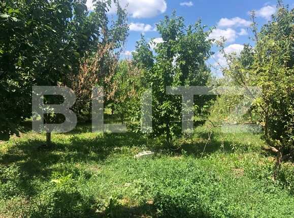 Casa de vânzare 2 camere Mosnita Veche - 66796CV | BLITZ Timișoara | Poza16