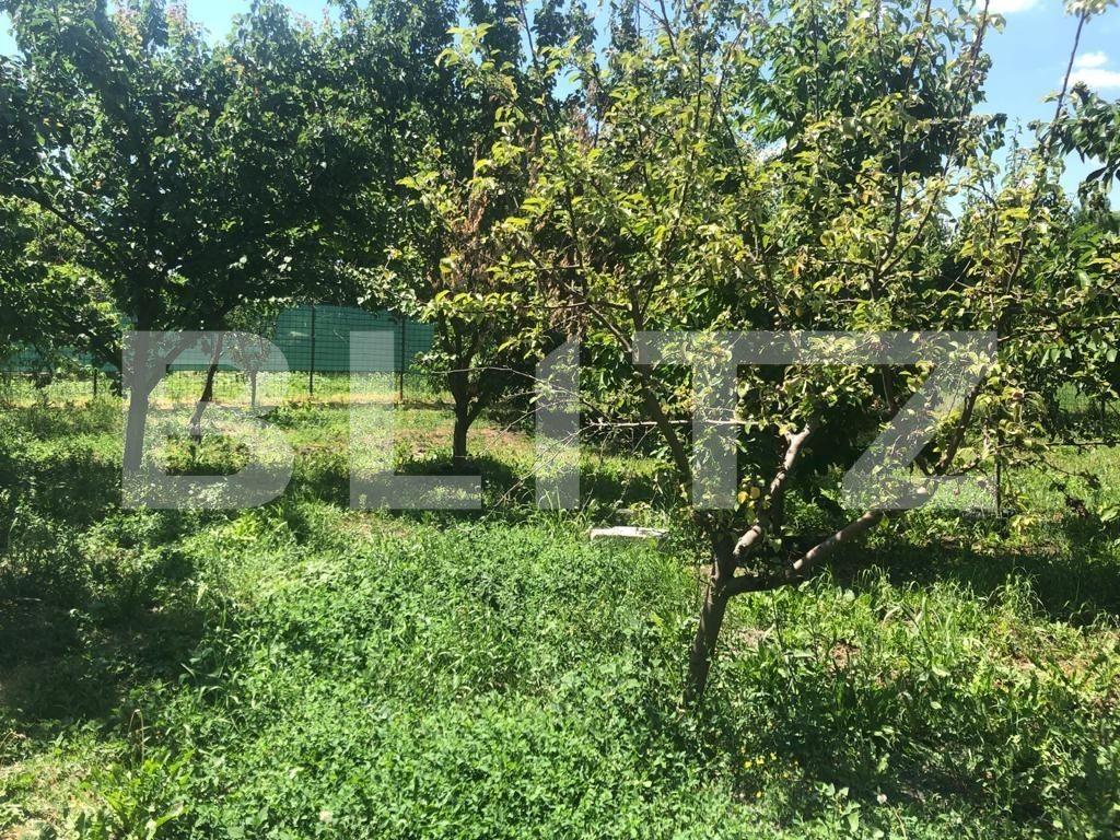 Casa de vânzare 2 camere Mosnita Veche - 66796CV | BLITZ Timișoara | Poza17