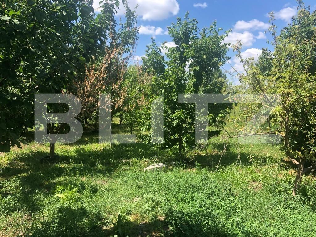 Casa de vânzare 2 camere Mosnita Veche - 66796CV | BLITZ Timișoara | Poza16