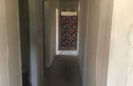 Casa de 4 camere,  117 mp utili, 1781 mp teren, Ivanda