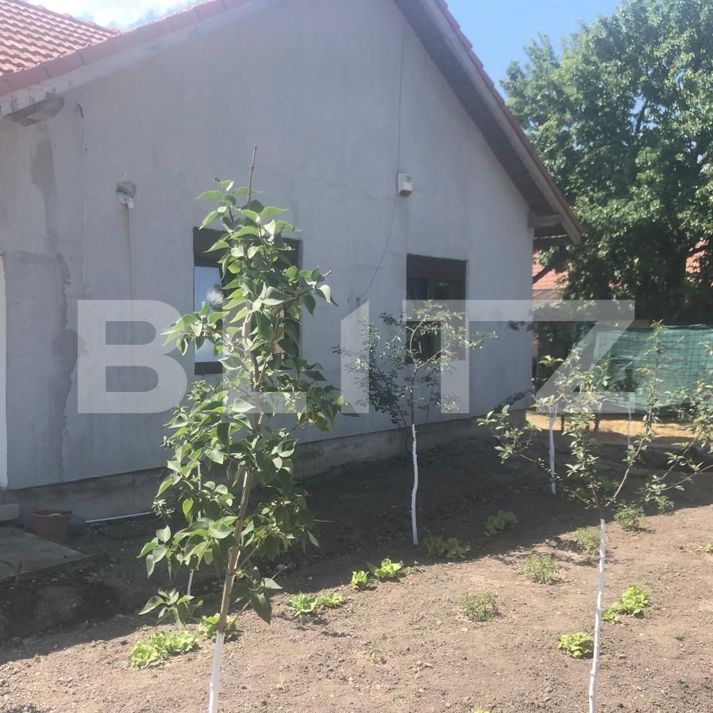 Casa de vânzare 4 camere Giulvaz - 66815CV | BLITZ Timișoara | Poza4