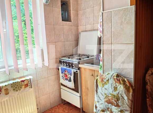 Apartament de vânzare 3 camere Lipovei - 66831AV | BLITZ Timișoara | Poza10