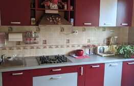 Casa individuala de vanzare, 225 mp utili, 1354 mp teren, Ciarda Rosie