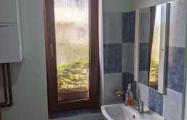 Casa individuala de vanzare, 225 mp utili, 1354 mp teren, Ciarda Rosie