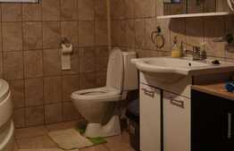 Casa individuala, 130 mp utili, teren 1554 mp, in Urseni