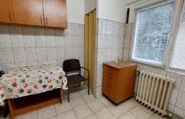 Ocazie, Apartament de 2 camere, 52 mp utili, Sagului