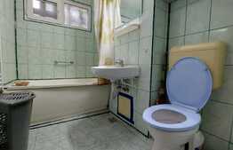 Ocazie, Apartament de 2 camere, 52 mp utili, Sagului