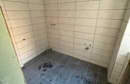 Clădire istorică, 4 corpuri, 1900 mp, 3 niveluri, zona Iosefin