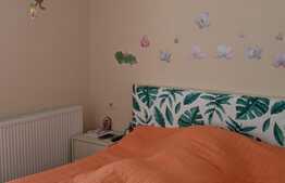 Duplex de vanzare, 90 mp utili, 234 mp teren, la cheie. Mosnita Noua