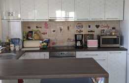 Duplex de vanzare, 90 mp utili, 234 mp teren, la cheie. Mosnita Noua