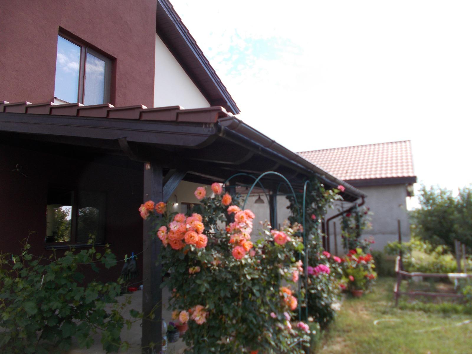 Casa de vânzare 6 camere Sag - 67152CV | BLITZ Timișoara | Poza10