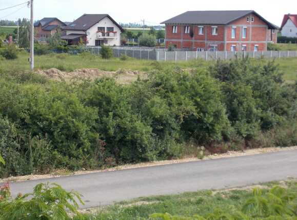 Casa de vânzare 5 camere Sagului - 67155CV | BLITZ Timișoara | Poza1