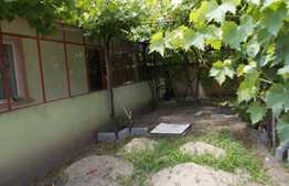 Casa cu stil / spatioasa P+1 in Dumbravita