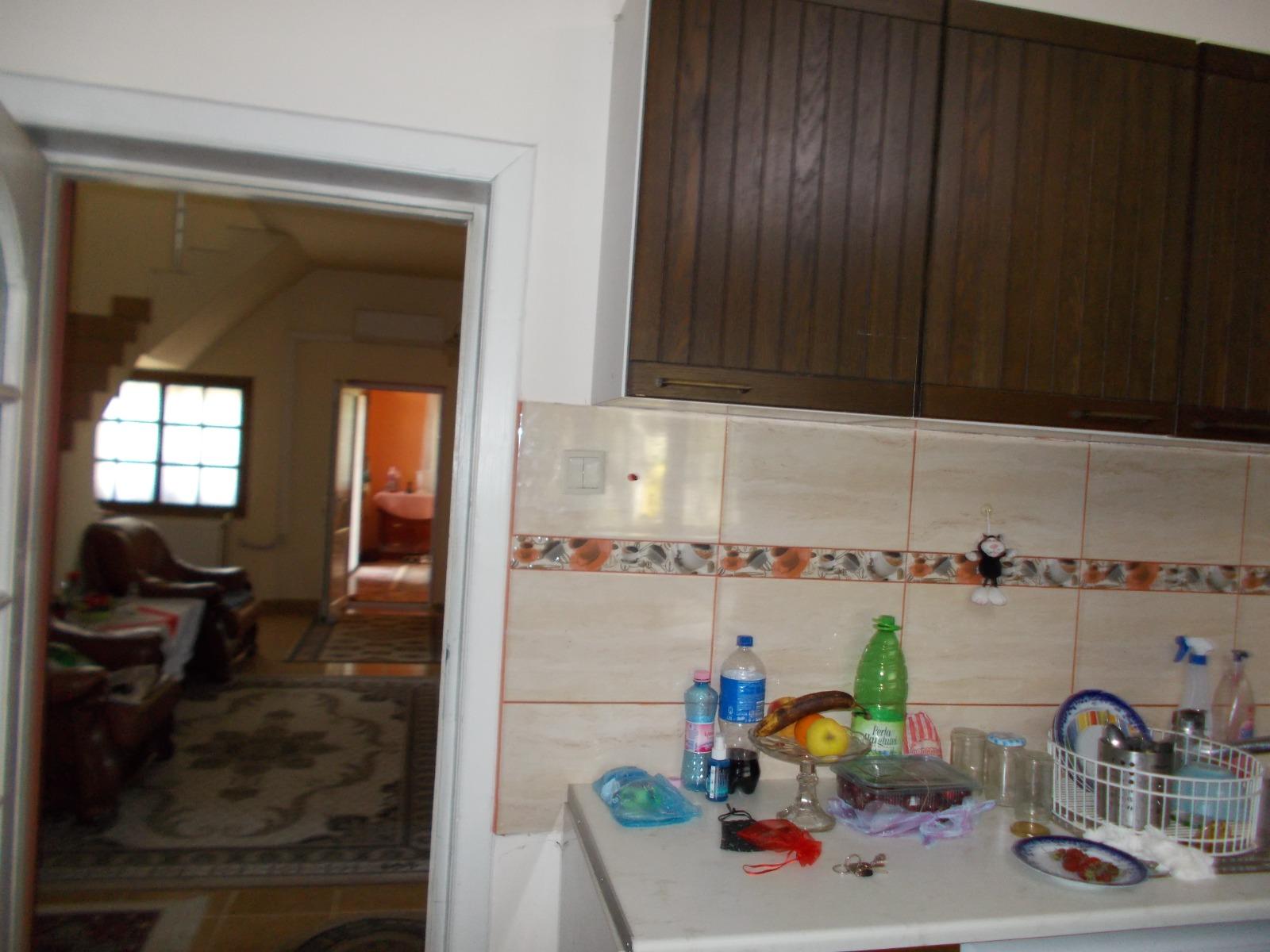 Casa de vânzare 8 camere Exterior Nord - 67157CV | BLITZ Timișoara | Poza9