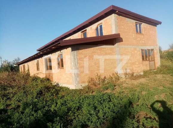 Casa de vânzare 6 camere Lugojului - 67158CV | BLITZ Timișoara | Poza18