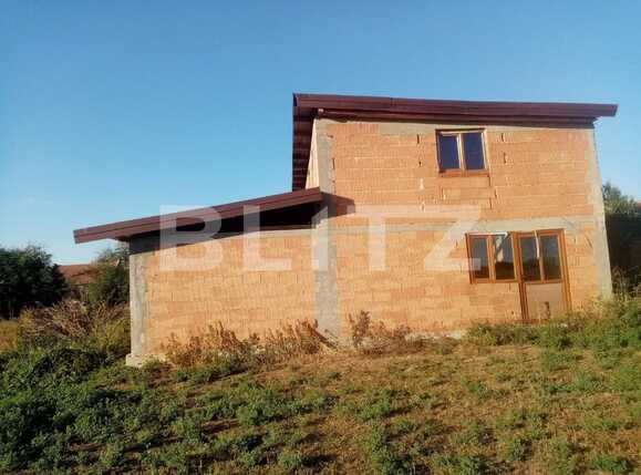 Casa de vânzare 6 camere Lugojului - 67158CV | BLITZ Timișoara | Poza21