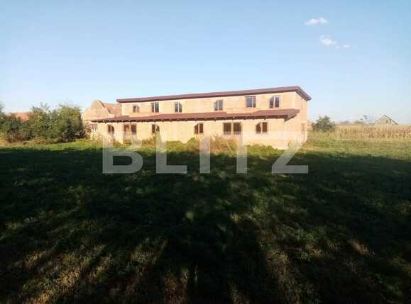 Casa de vânzare 6 camere Lugojului - 67158CV | BLITZ Timișoara | Poza22