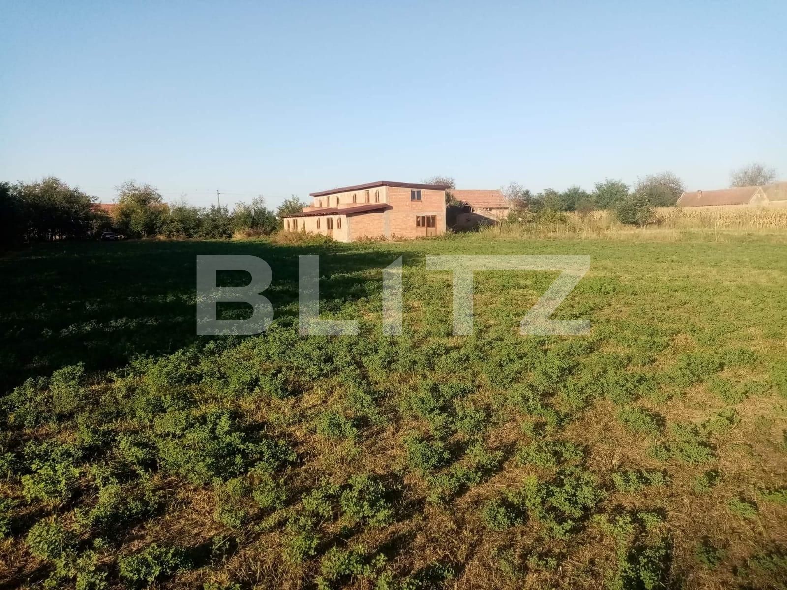 Casa de vânzare 6 camere Lugojului - 67158CV | BLITZ Timișoara | Poza20