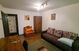 Apartament 1 cameră, decomandat, etaj intermediar, Complex Studențesc