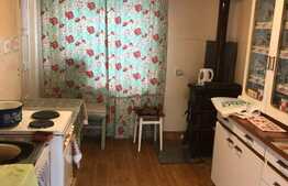 Casa individuala 60 mp, 1439 mp teren, in Ciarda Rosie