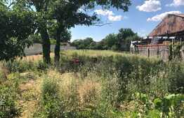 Casa individuala 60 mp, 1439 mp teren, in Ciarda Rosie