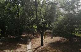 Casa de vanzare, renovabila ELisabetin - zona linistita, neaglomerata