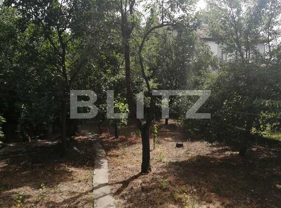 Casa de vânzare 3 camere Elisabetin - 67304CV | BLITZ Timișoara | Poza6