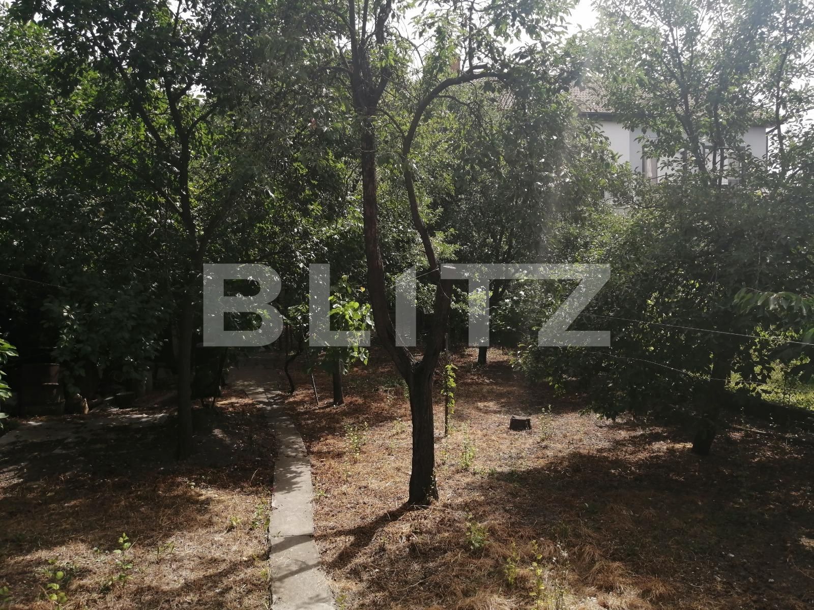 Casa de vânzare 3 camere Elisabetin - 67304CV | BLITZ Timișoara | Poza6