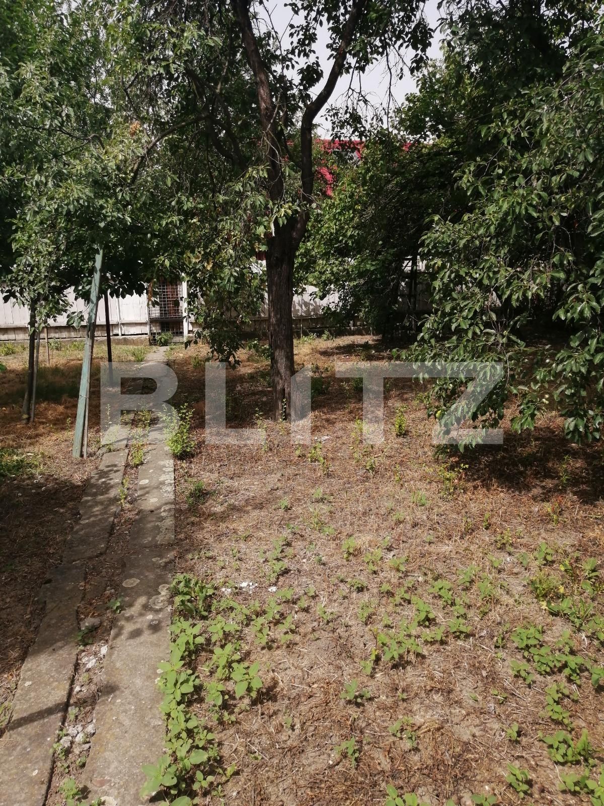 Casa de vânzare 3 camere Elisabetin - 67304CV | BLITZ Timișoara | Poza5