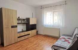 Apartament cu o camera, 22 mp, Complexul Studentesc