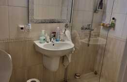 Casa individuala de 920 mp utili, teren 2900 mp, ideal investitie!