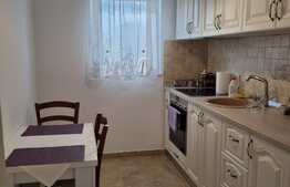 Casa individuala de 920 mp utili, teren 2900 mp, ideal investitie!