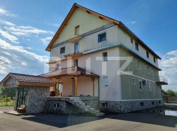 Casa de vânzare 15 camere Mircea cel Batran - 67400CV | BLITZ Timișoara | Poza2