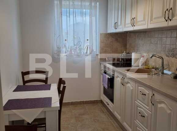 Casa de vânzare 15 camere Mircea cel Batran - 67400CV | BLITZ Timișoara | Poza10