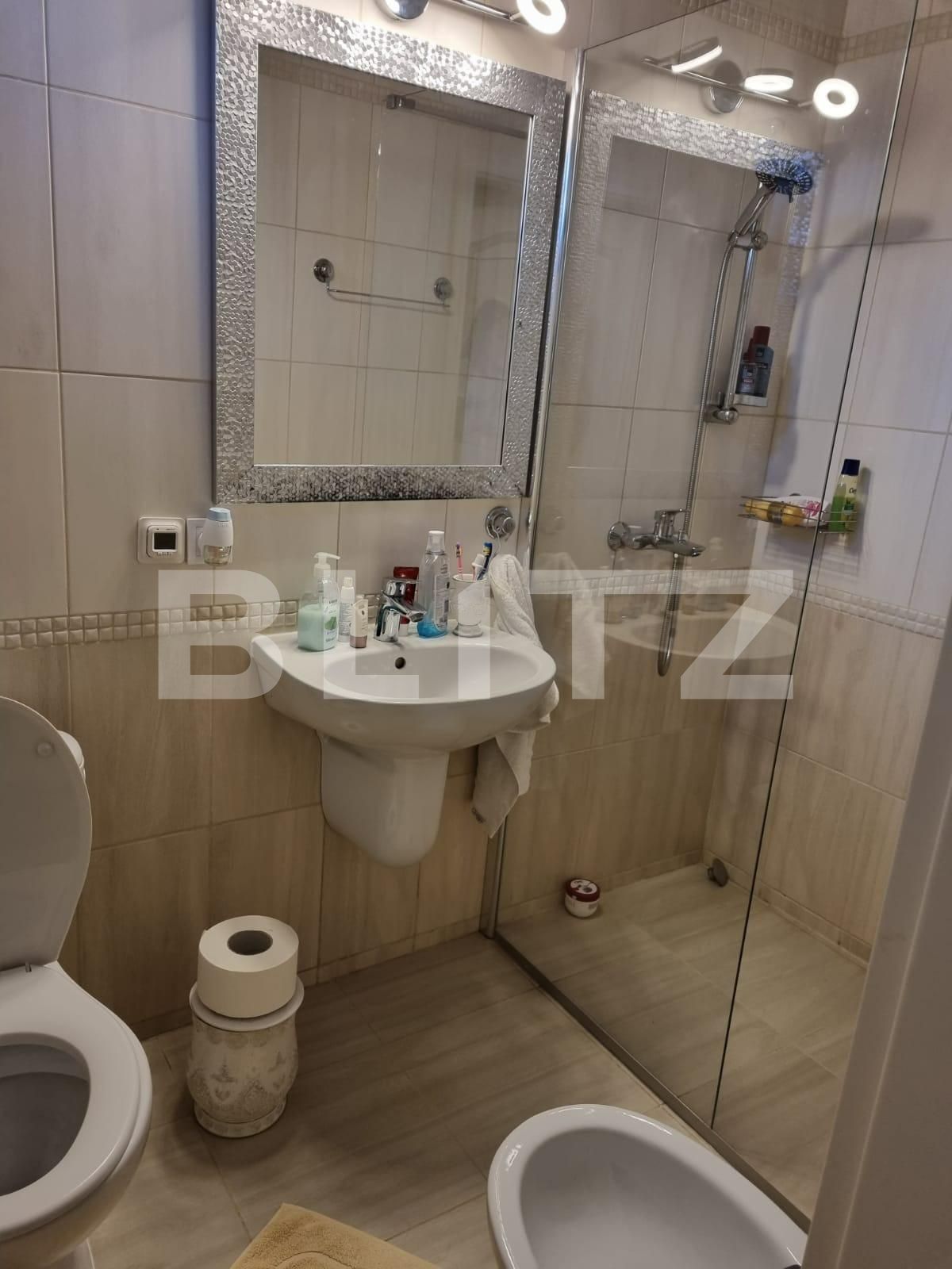 Casa de vânzare 15 camere Mircea cel Batran - 67400CV | BLITZ Timișoara | Poza12