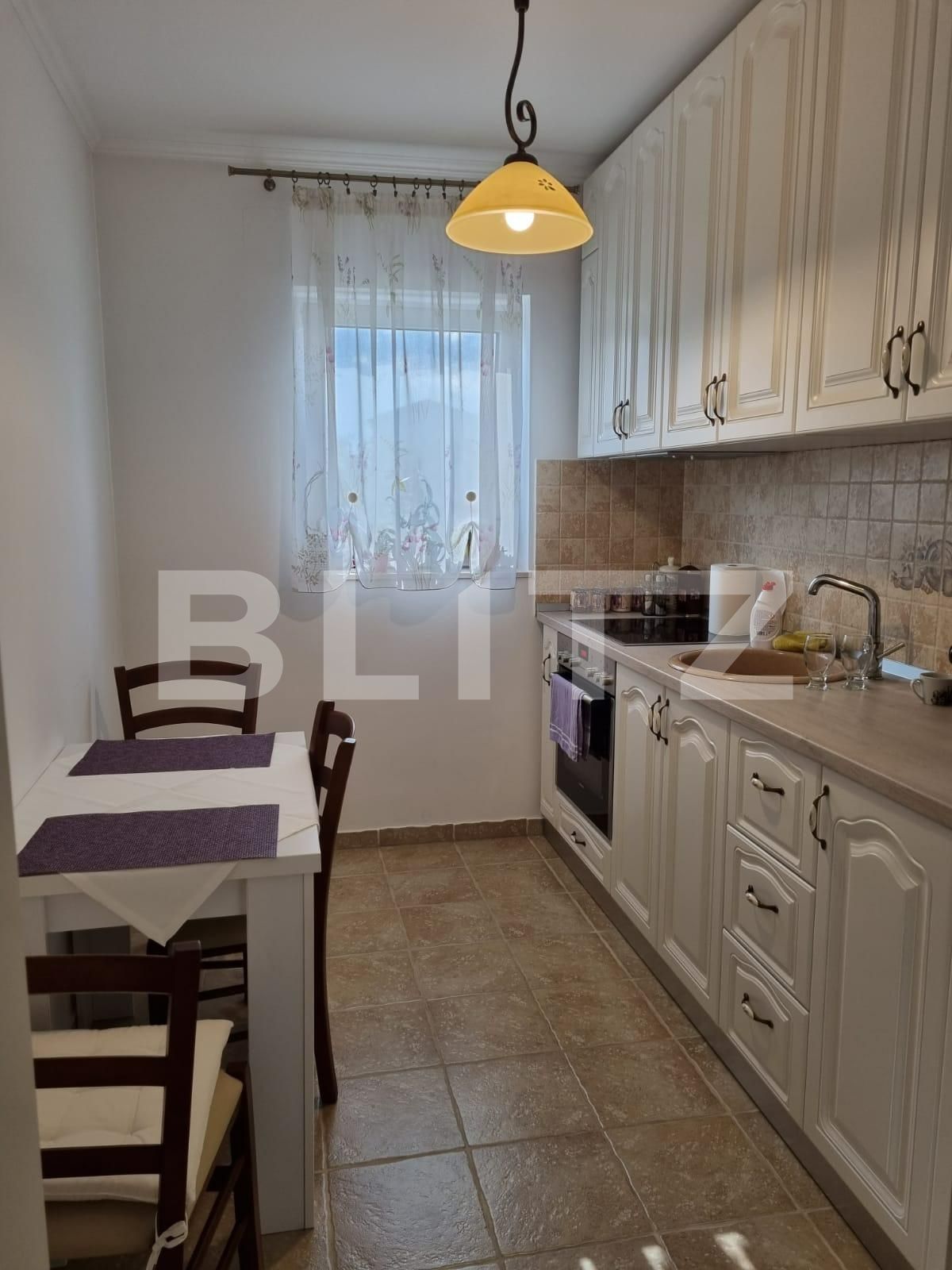 Casa de vânzare 15 camere Mircea cel Batran - 67400CV | BLITZ Timișoara | Poza10