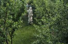 Casa individuala 502 mp utili, 901 mp teren, tip duplex, Dumbravita