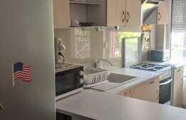 Casa individuala 502 mp utili, 901 mp teren, tip duplex, Dumbravita