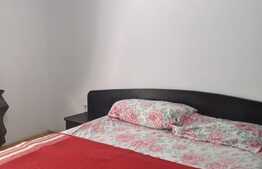 Casa individuala 502 mp utili, 901 mp teren, tip duplex, Dumbravita