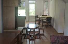 Casa individuala 502 mp utili, 901 mp teren, tip duplex, Dumbravita