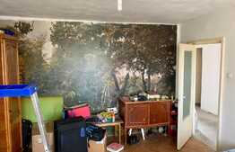 Apartament de 3 camere, decomandat, 70 mp utili, Calea Torontalului