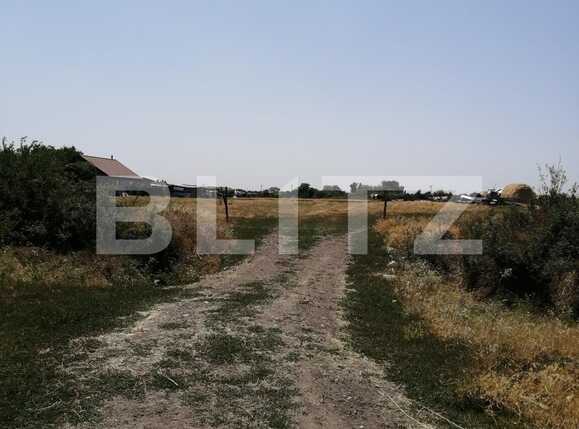 Teren de vânzare Torontalului - 67467TV | BLITZ Timișoara | Poza1