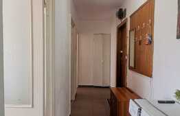 Apartament de 2 camere, 50 mp, in inima Complexului Studentesc