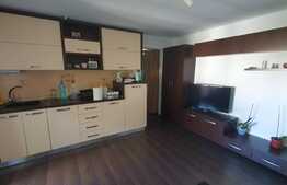 Oportunitate! Apartament de 3 camere, 51 mp, renovat! Zona Bucovinei!