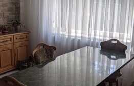 Casa individuala, 280 mp utili, 502 mp  teren, front 25ml, Zona Ronat